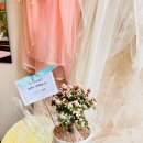 신월동183 이미지