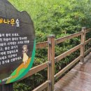 치유의 숲 | 대전에 이런 곳이 있었어? 대전 치유의 숲 산책 후기