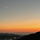 베이커리 그루 | 가을 맞이 . . . | 다낭성 이노시톨 후기 | 반곡지 강아지 동반 | 괴정 베이커리 그루