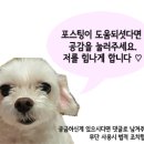 인계동 1122-7 이미지