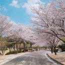 중앙안경 이미지