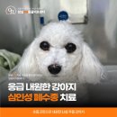 24시 잠실온 동물병원 이미지