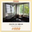 강서구민회관 앞 | 우장산역 신상 대형카페 스윗온유 내돈내산 솔직후기