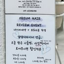 다운공원 네이버블로그