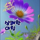 향기좋은날