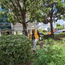 화산네거리 이미지