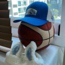 비에이엠(BAM) 이미지