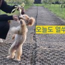 고집 이미지