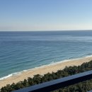 가래치기 | 25년 1월.. 겨울왕국에 가다