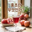 매일 먹는 홍초 효능, 다이어트 효과 좋은 다섯가지