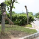 낙안읍성 관광안내소 이미지