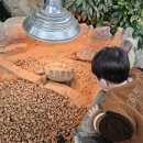 실옥로 | [천안·아산] 아이랑 가볼만한 곳｜20개월 아기 가성비 곤충·동물 실내 체험 후기