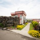 원담민박 이미지