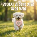 수명약국 이미지