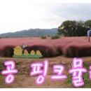 화원유원지주유소 이미지