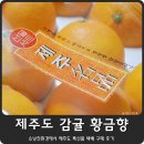 성산친환경영농법인 이미지