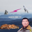 (주)임순남타임즈 | 임순남 호랑이 캠프 블로그