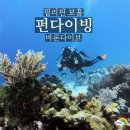 바론커피 | 보홀 발리카삭 펀다이빙 바론다이브 내돈내산 후기(비용, 숙소)