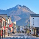 (주)제주세일여행사 이미지