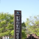 월악산국립공원 송계자동차야영장 이미지