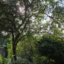 목원농장 이미지