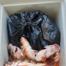 포항시남구장기면양포보건진료소 이미지