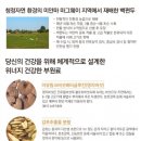위너건강식품