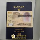 안산 VISA KOREA 행정사사무소 | 65세 이상 이중국적 국적회복 허가 F4VISA 거소증 급행 발급 출입국행정사 대행 신청