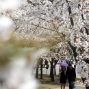 사리울삼거리 이미지