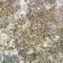 법왕사 앞 이미지