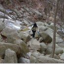 송죽길농장 이미지