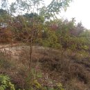 금산농장 2 이미지