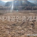 새재공인중개사사무소 이미지