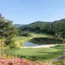 떼제베CC(대중제) 이미지