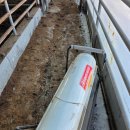 수월한우농장 이미지