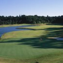 뉴그린골프연습장 이미지