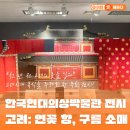 연꽃향 | 천년전 고려의 옷을 입다! 송도 무료 전시 < 고려: 연꽃 향, 구름 소매> 관람 후기