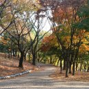 민속공원 이미지