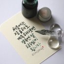 알리캘리