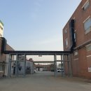 청주약품 이미지