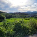 용리농장 이미지