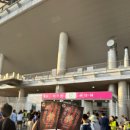 2020 K리그1 서울vs상주 | 서울 월드컵경기장 축구 직관 K리그 FC서울 울산HD 2등석 S-D구역 24열