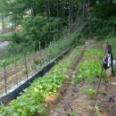 창구농장 이미지