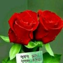 기분좋은하루 이미지