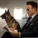 2019-주114 이미지