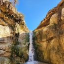 카오아시스 | [4일차 튀니지 여행] 미데스 협곡, 사막의 오아시스(타마그자, 체비카) &amp; 최고의 숙소 Castello Bianco