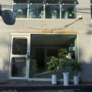 강아지당 이미지