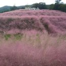 한국지엠거창중앙바로서비스 | 2025년 10월 정읍여행3(정읍사문화공원, 국화회관, 라베호텔)