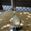 화원읍작은도서관 | 7월 또 놀러갔는데요? 그곳은 이열치열 대구 당일치기 여행