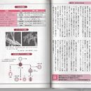 미생물의 책 16 당으로부터 유산을 만드는 사치스러운 세균 이미지